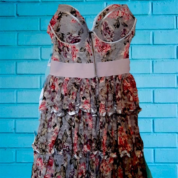 Rachel and Chloe sexy dress - Picture 1 of 2